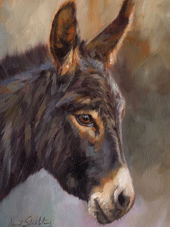Donkey by David Stribbling