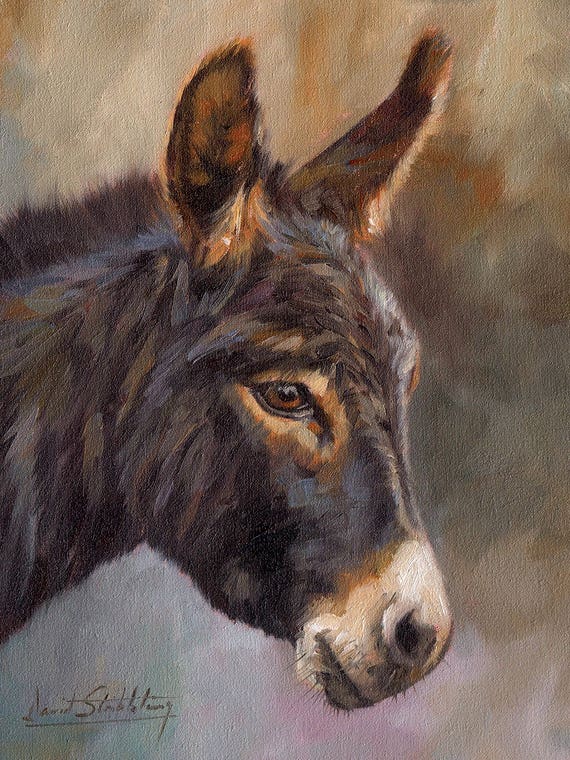 Donkey by David Stribbling
