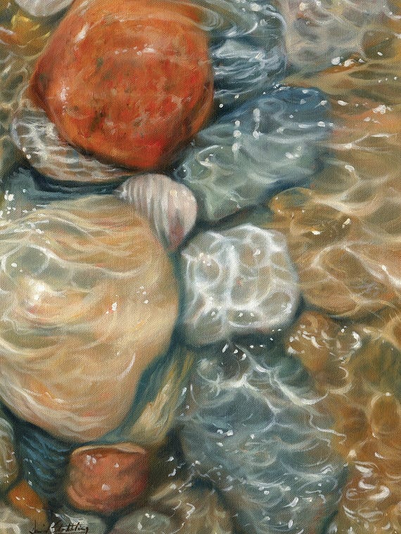 Rockpool by David Stribbling