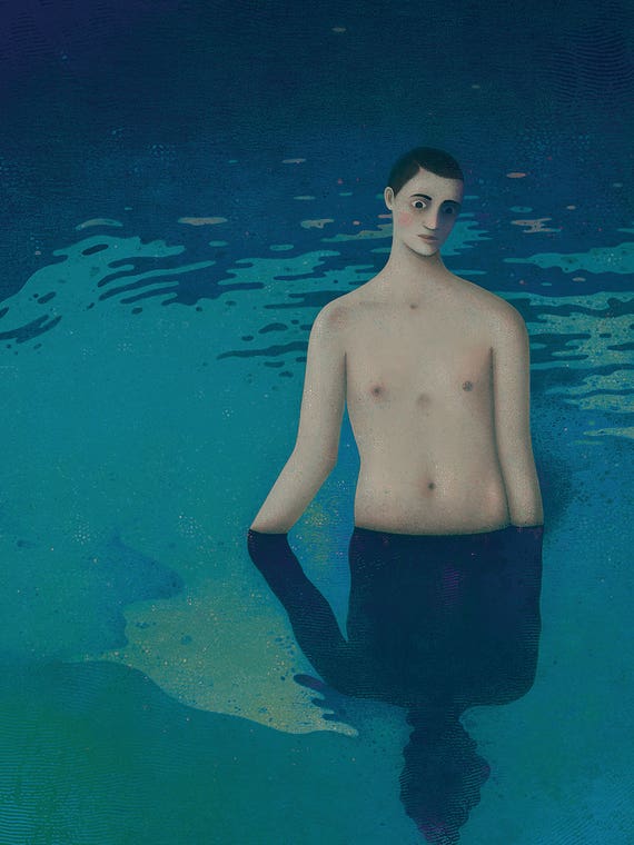 Amphibology by Alefes Silva