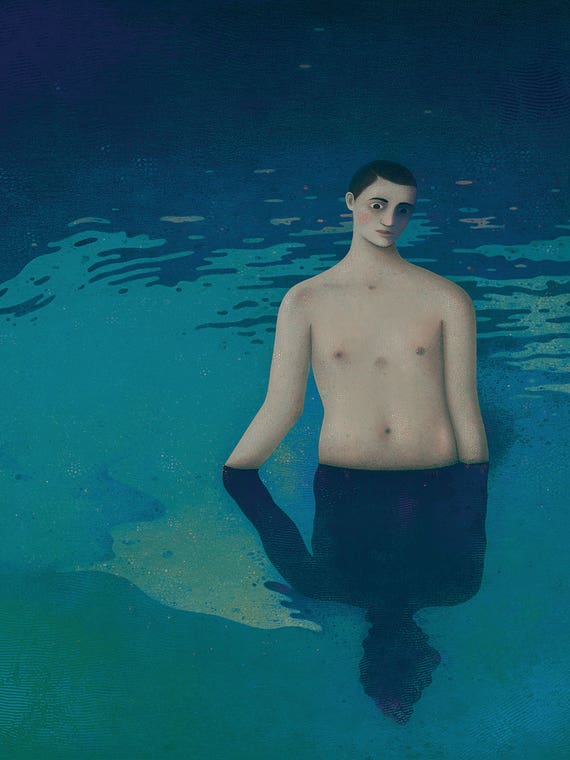 Amphibology by Alefes Silva 