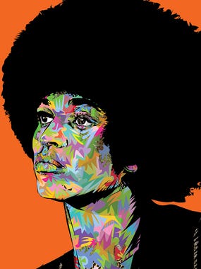 Angela Davis Drome by iCanvas Artist TECHNODROME1