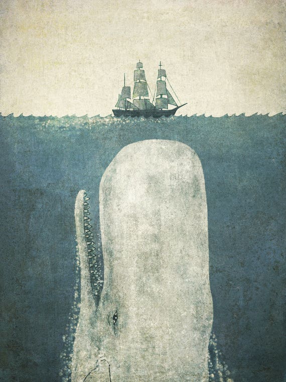 White Whale by Terry Fan