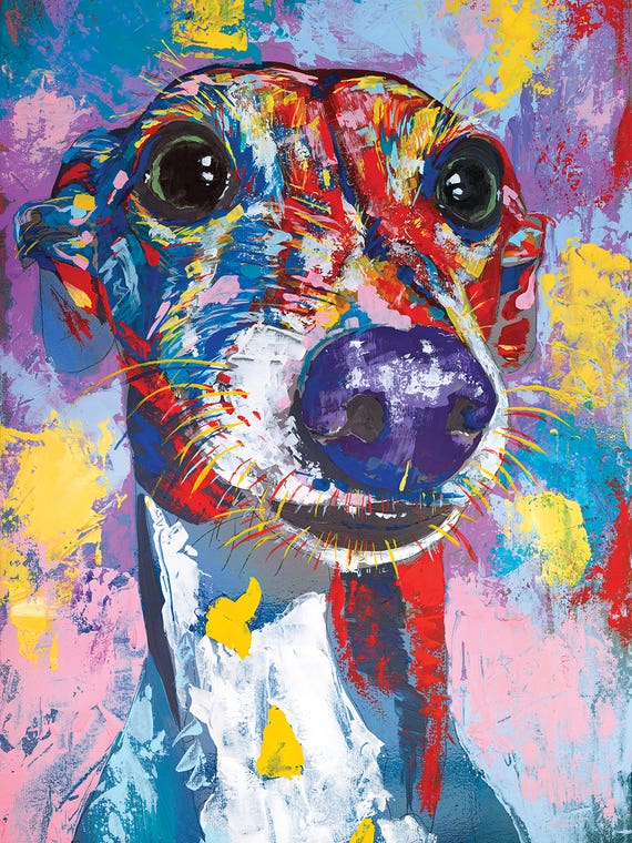 Italian Greyhound III by Tadaomi Kawasaki