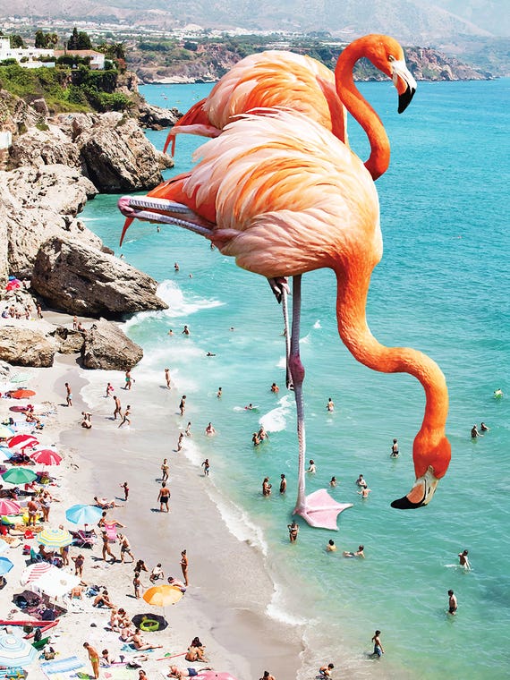 Giant Flamingos On The Beach by 83 Oranges