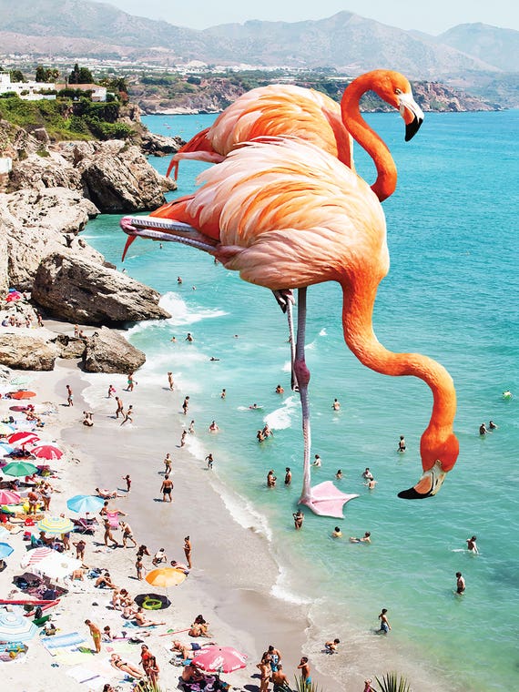 Giant Flamingos On The Beach by 83 Oranges 