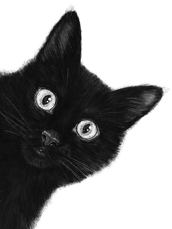 Black Cat by Valeriya Korenkova