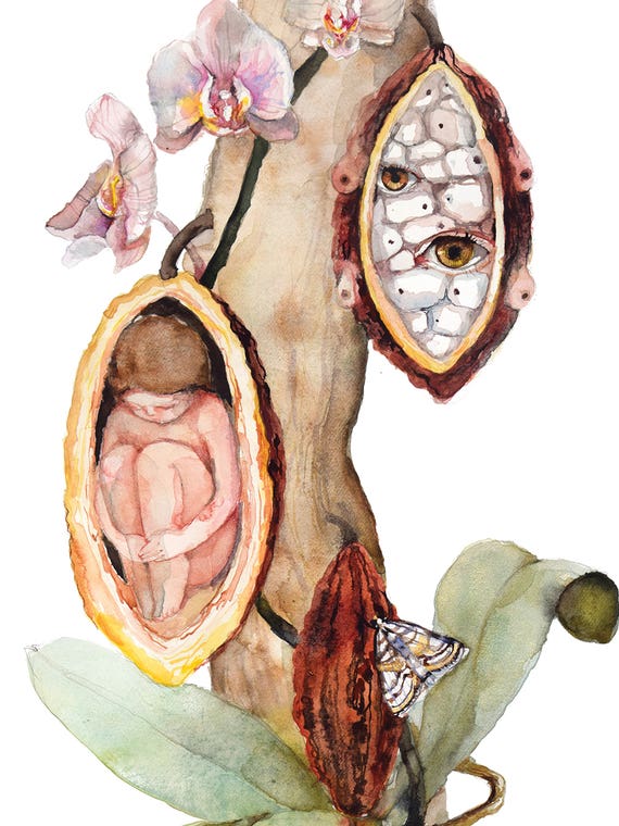 Cacao Ceremony Inner Child Symbolic Orchid Artwork by Violetta Boyadzhieva