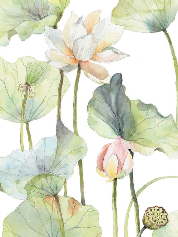 The Tall Lotus by Violetta Boyadzhieva
