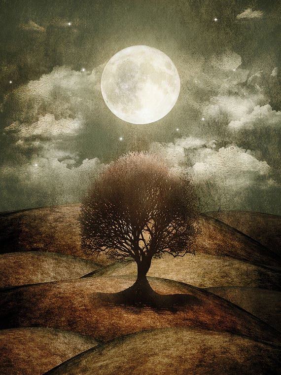 Once Upon A Time... The Lone Tree by Viviana Gonzalez
