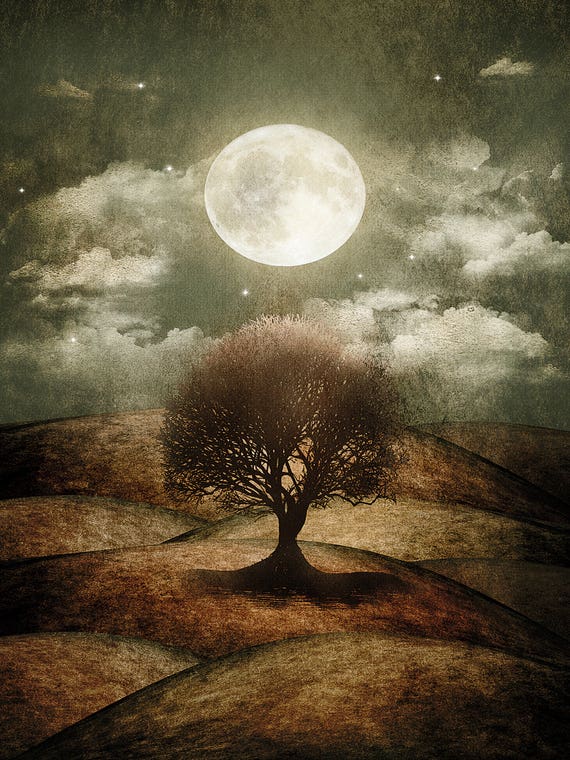 Once Upon A Time... The Lone Tree by Viviana Gonzalez