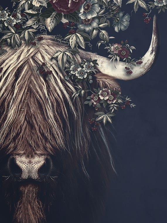 Highlander II by Wouter Rikken