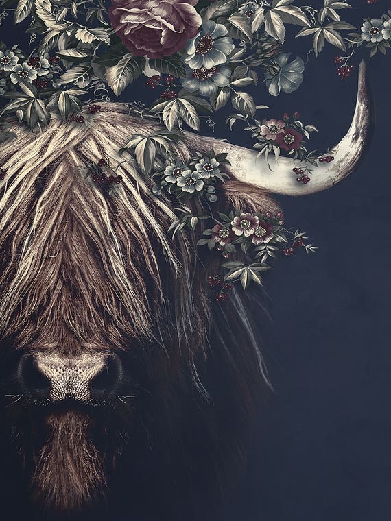 Highlander II by Wouter Rikken
