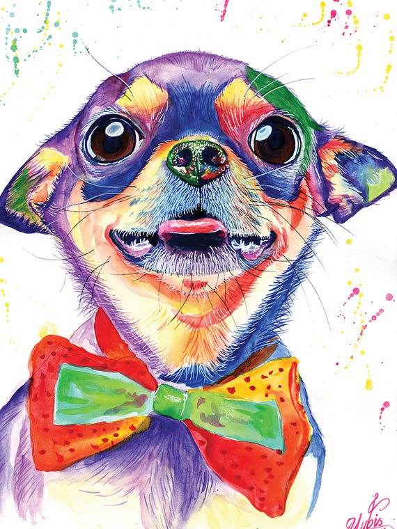 Colorful Chihuahua by Yubis Guzman