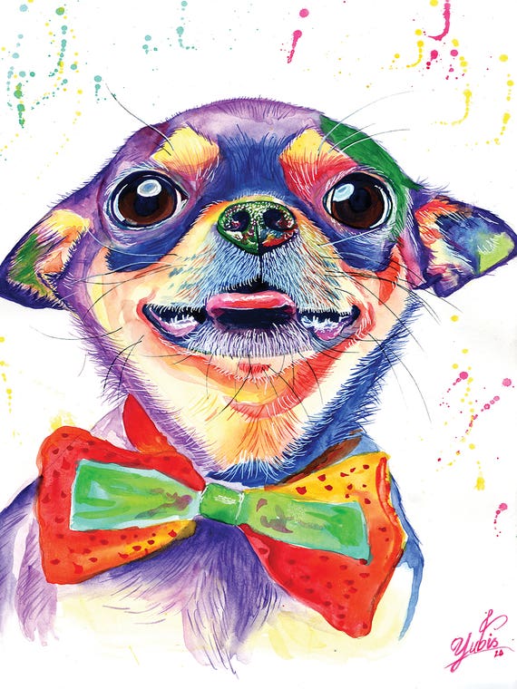 Colorful Chihuahua by Yubis Guzman