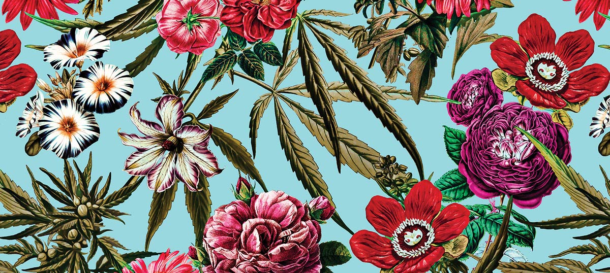 Marijuana Canvas Art Prints