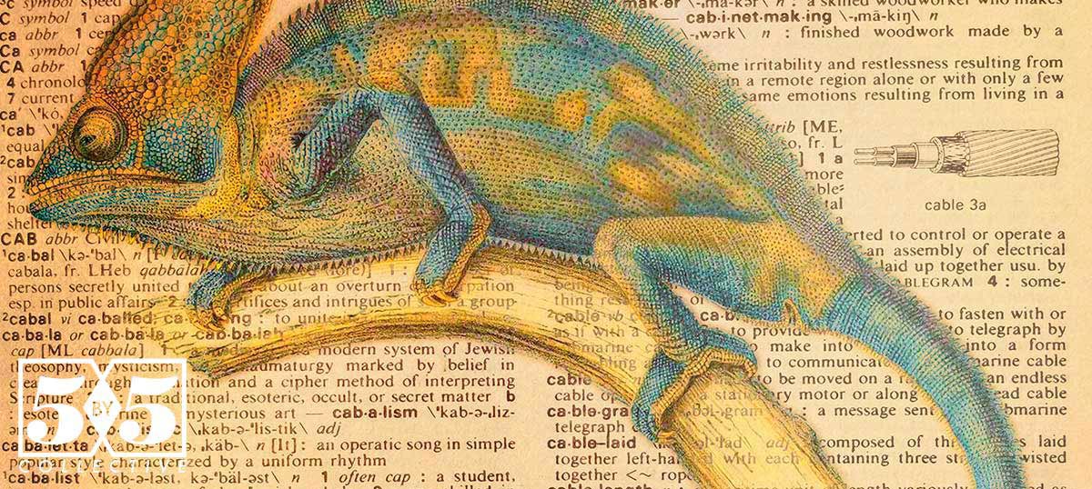 Alphabetical Animalia Canvas Art Prints