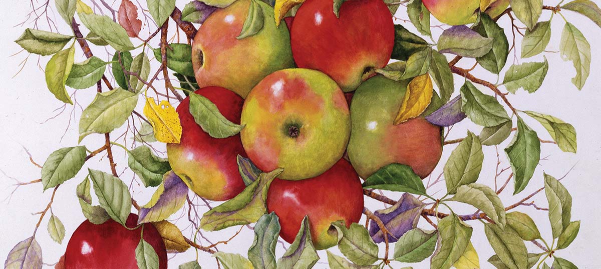 Apple Tree Art Canvas Prints
