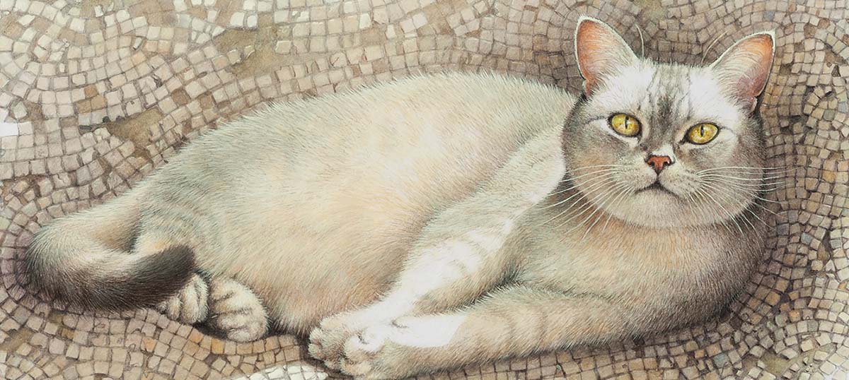 British Shorthair Cat Art Art Prints