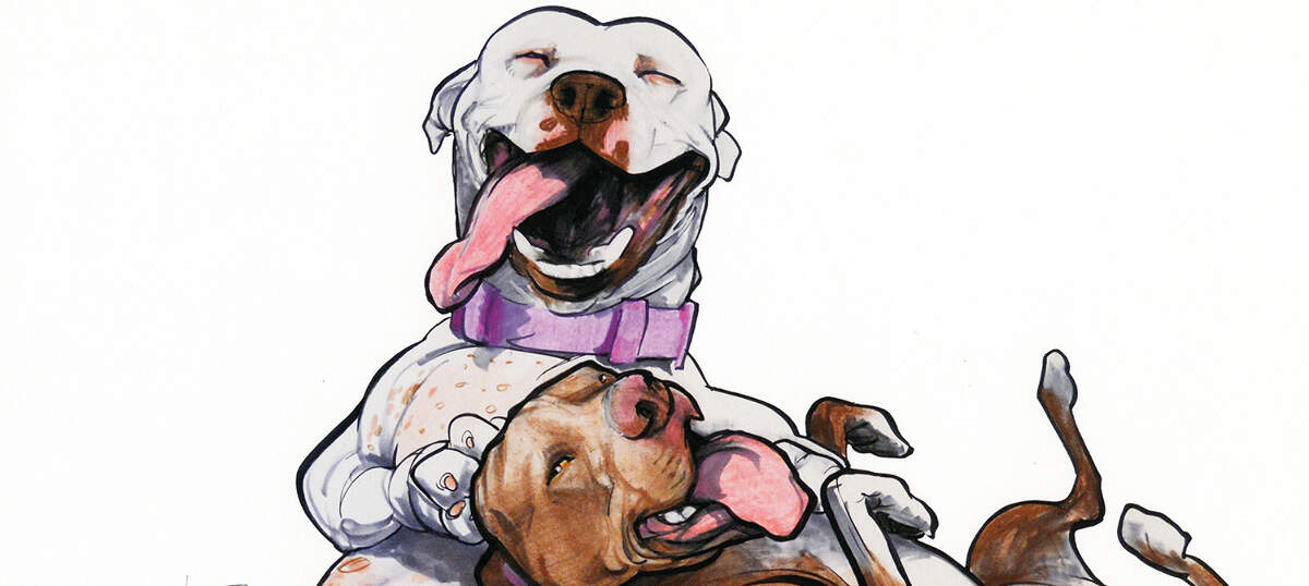Canine Caricatures Canvas Prints
