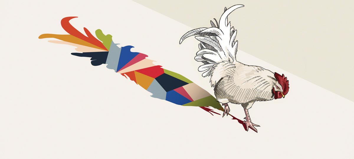 Chicken & Rooster Art Art Prints