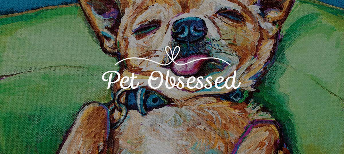 Pet Obsessed Art Prints