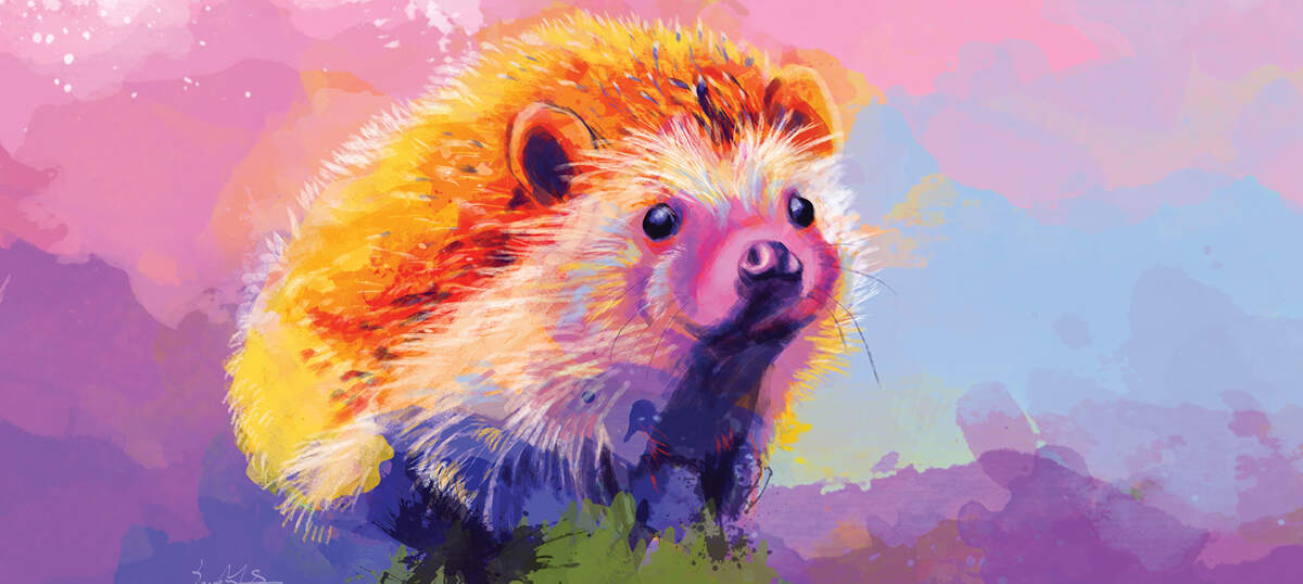 Hedgehogs Canvas Artwork