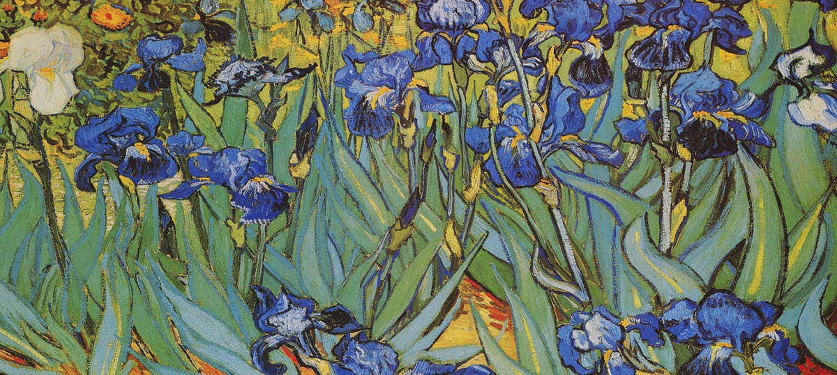 Irises Canvas Art Prints
