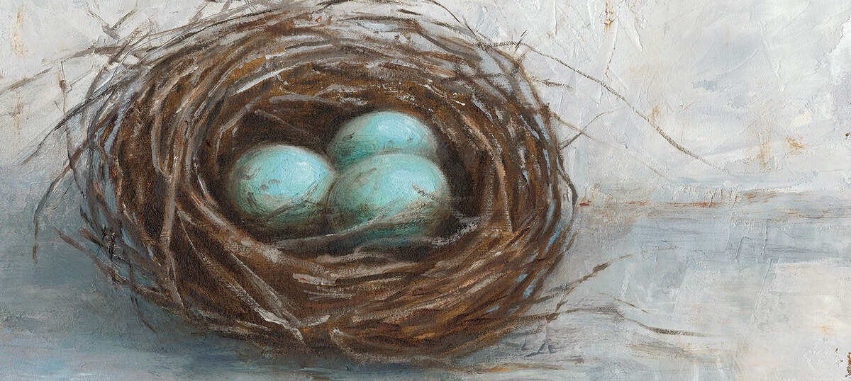 Nests Art Prints