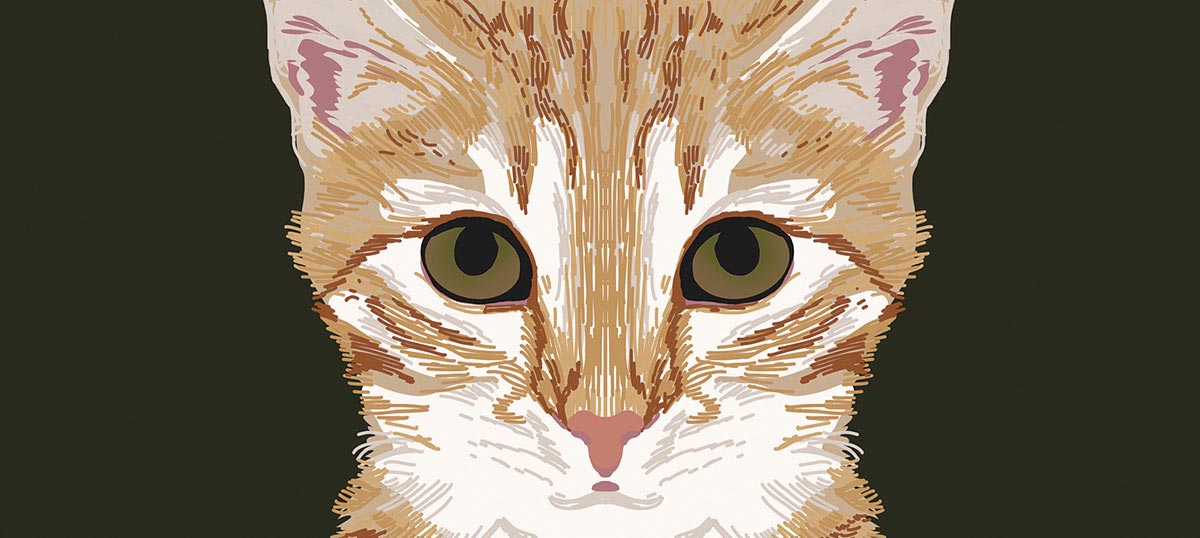 Pet Friendly Canvas Art Prints