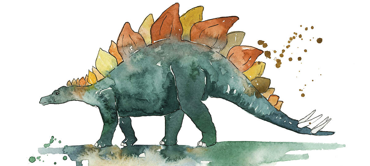 Stegosaurus Art Art Prints