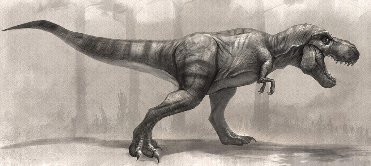 Tyrannosaurus Rex Art Art Prints