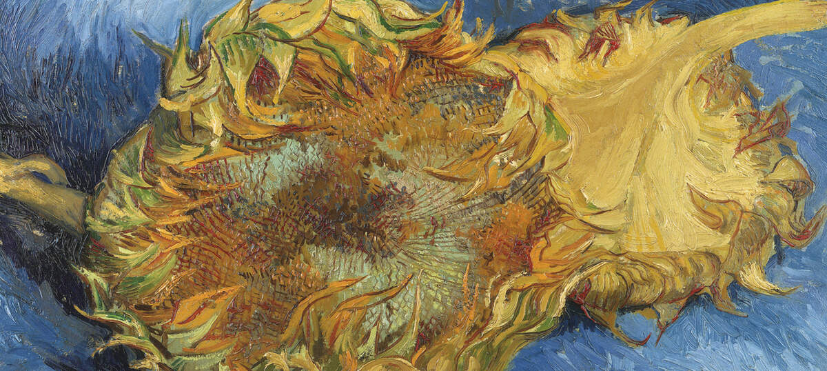 Van Gogh's Sunflowers Collection Canvas Art Prints