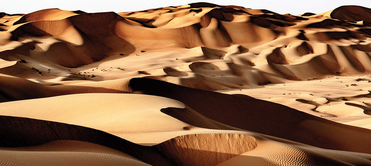 Wild Sand Dunes Canvas Artwork