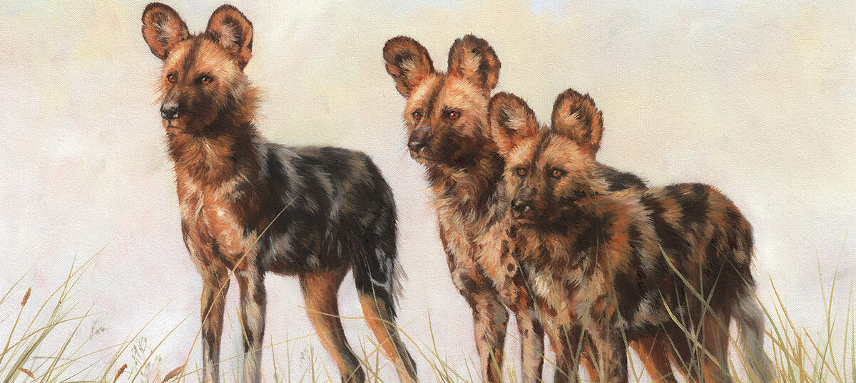 Wildlife Conservation Art Canvas Art Prints