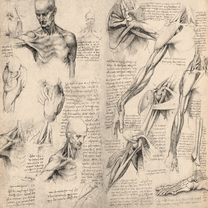 Anatomy Canvas Prints