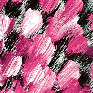 Black & Pink Canvas Art