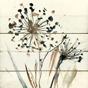 Dandelions Canvas Artwork