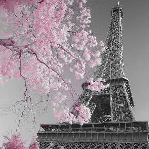 The Eiffel Tower Canvas Art Prints