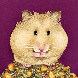 Hamsters Canvas Artwork