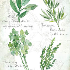 Herbs Canvas Art Prints