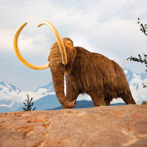 Mammoths Art Prints