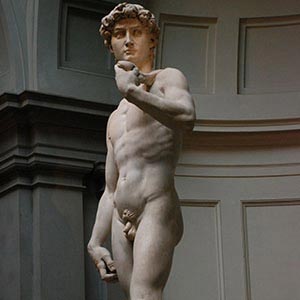 Michelangelo Canvas Artwork