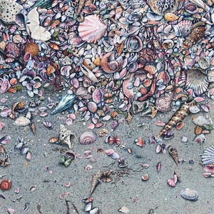 Ocean Treasures Canvas Art Prints