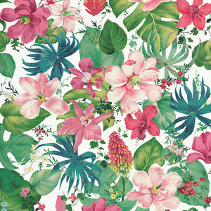 Green Meets Pink Art Prints