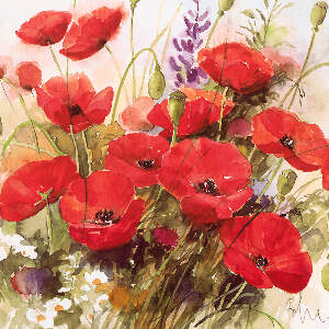 Poppies Canvas Art Prints