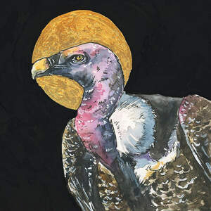 Vultures Art Prints