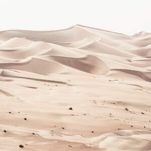 Wild Sand Dunes Canvas Wall Art