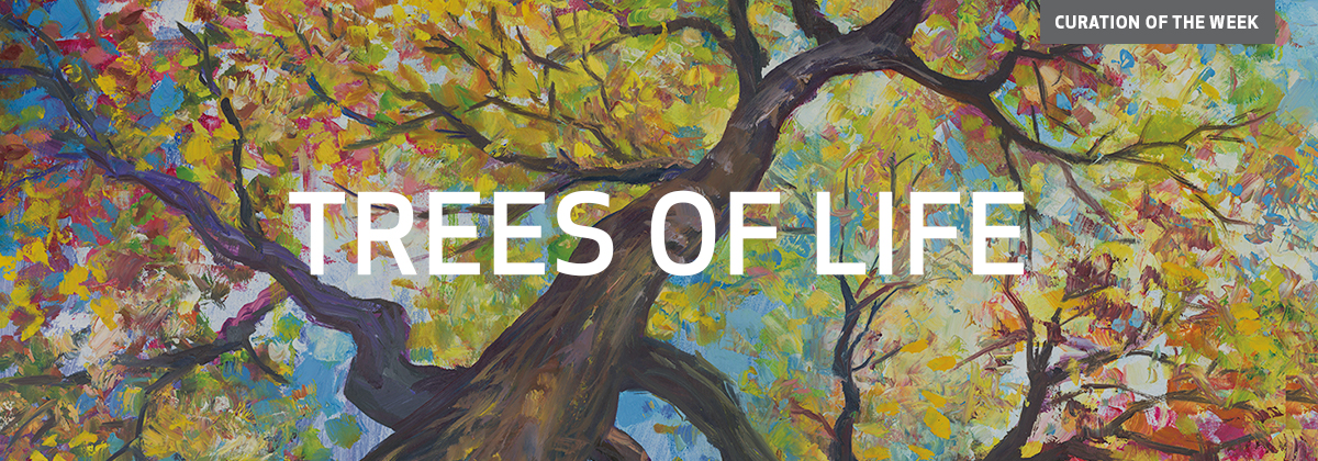 Trees of Life-60% off