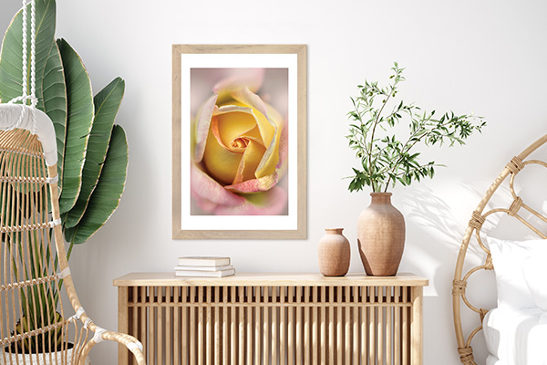Macro Photography-40% off